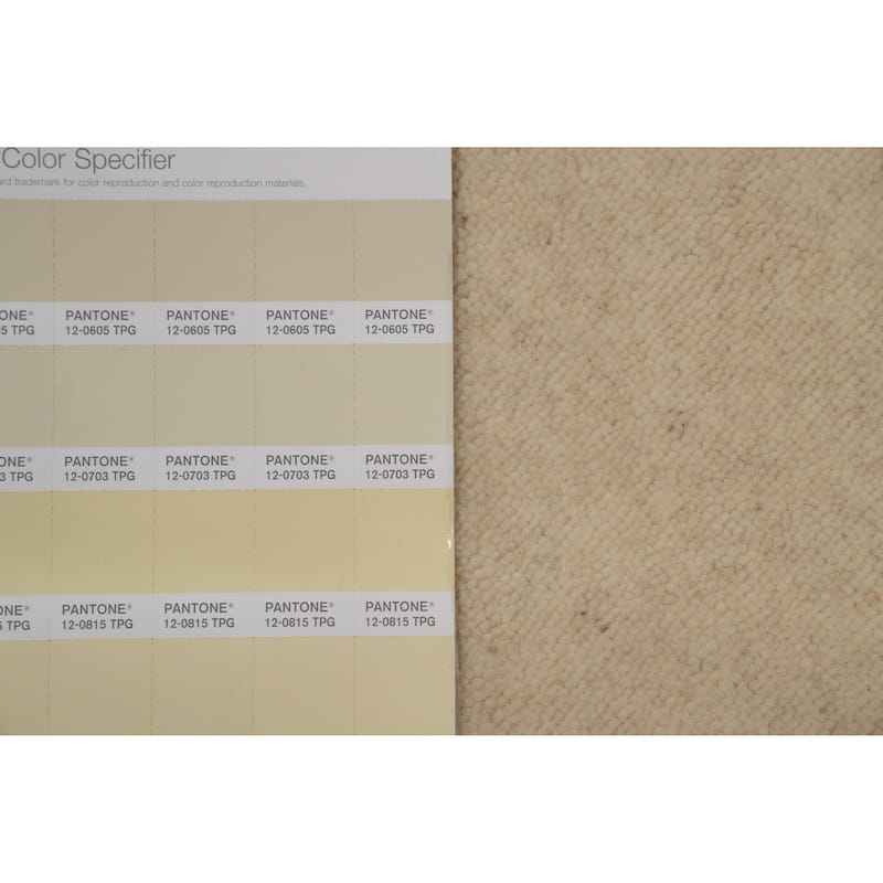 Hand Knotted Oriental 100% Wool Carpet Tribal Animal Pictorial Beige & Ivories Gabbeh Area Rug - 9' 10'' X 6' 7''
