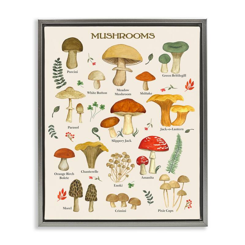 Stupell Foraging Mushrooms Studies Framed Floater Canvas Wall Art Design by Sharon Lee