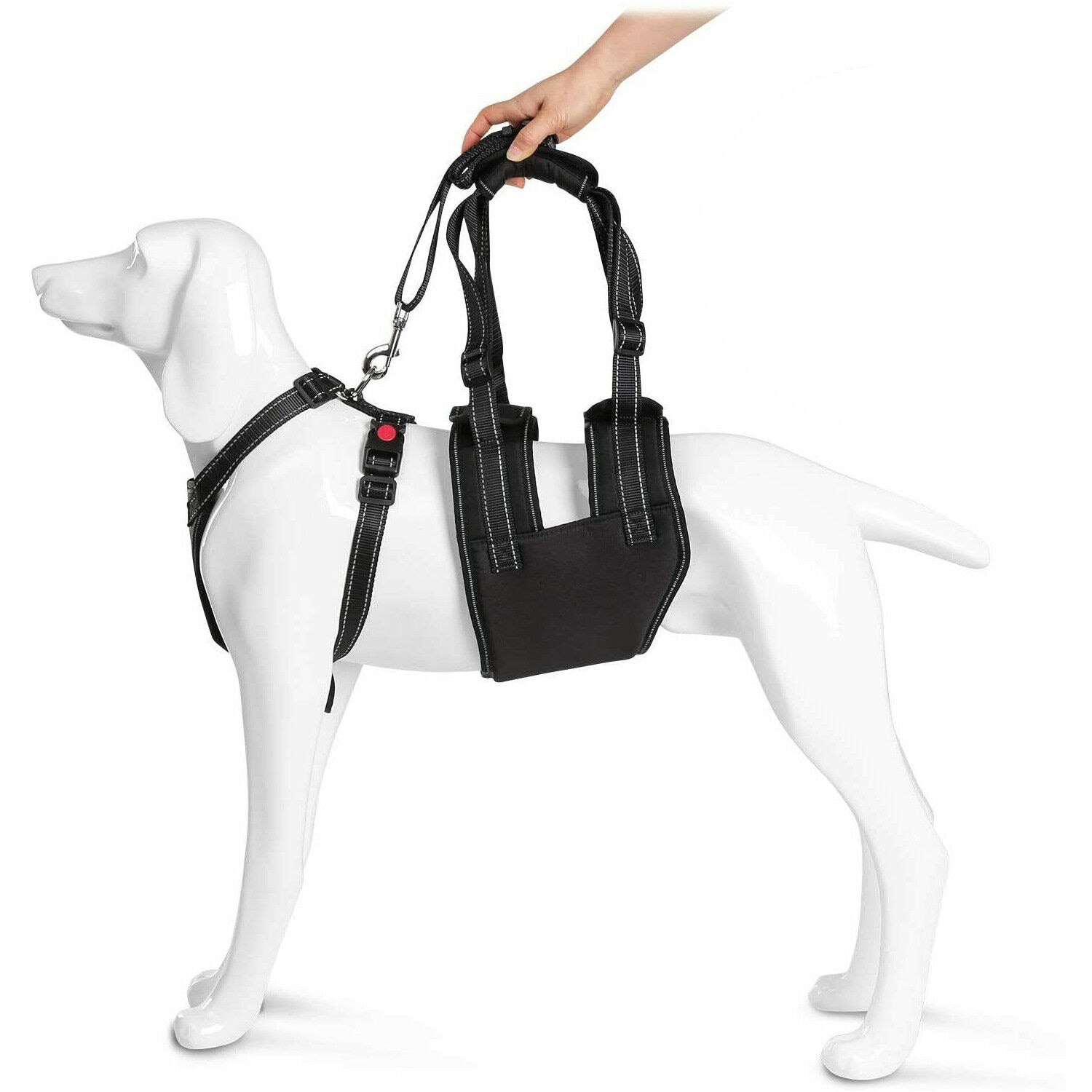 Adjustable Safety Tether Portable Soft-Sided Pet Carrier for Small Dog -  China Pet Carrier and Carrier for Small Dog price
