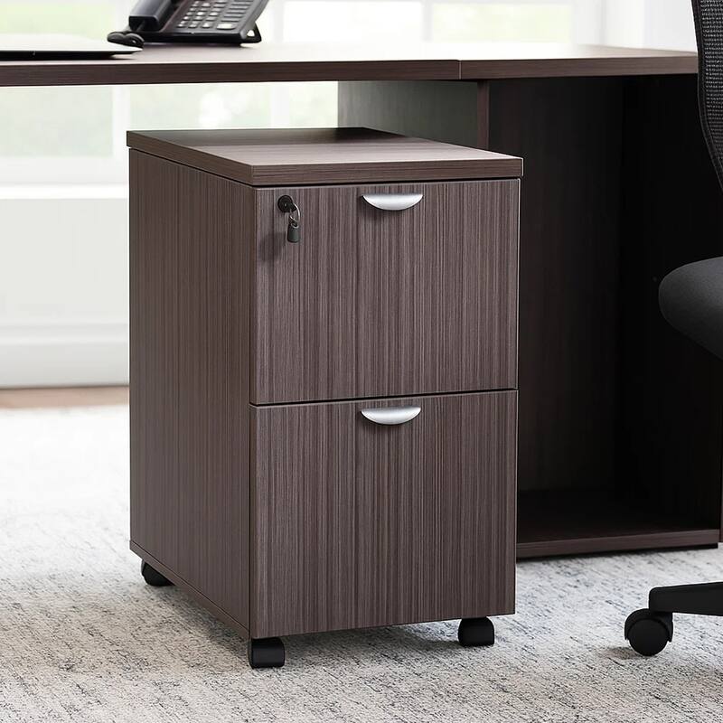 Kery 2 Drawer Mobile Pedestal File Cabinet with Lock, Driftwood Gray