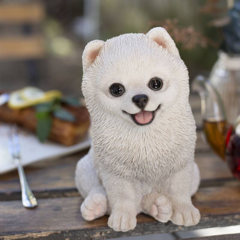 SoReal White Pomeranian