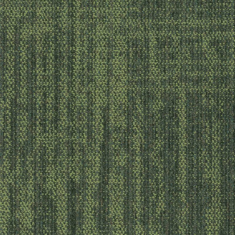 Shaw Philadelphia Commercial Raw Beauty 18" x 36" Glue Down Carpet - Witty