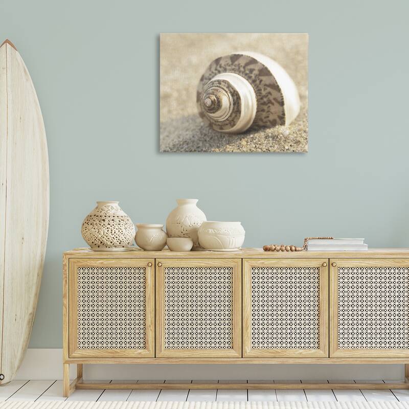 Stupell Neutral Tone Seashell Canvas Wall Art Design By Dora Rotondella