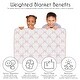 preview thumbnail 5 of 4, Sweet Jojo Designs Pink Bows Girl Toddler Weighted Blanket 5lbs for Kids -Blush Elegant, Vintage, Coquette for Ballet Collection