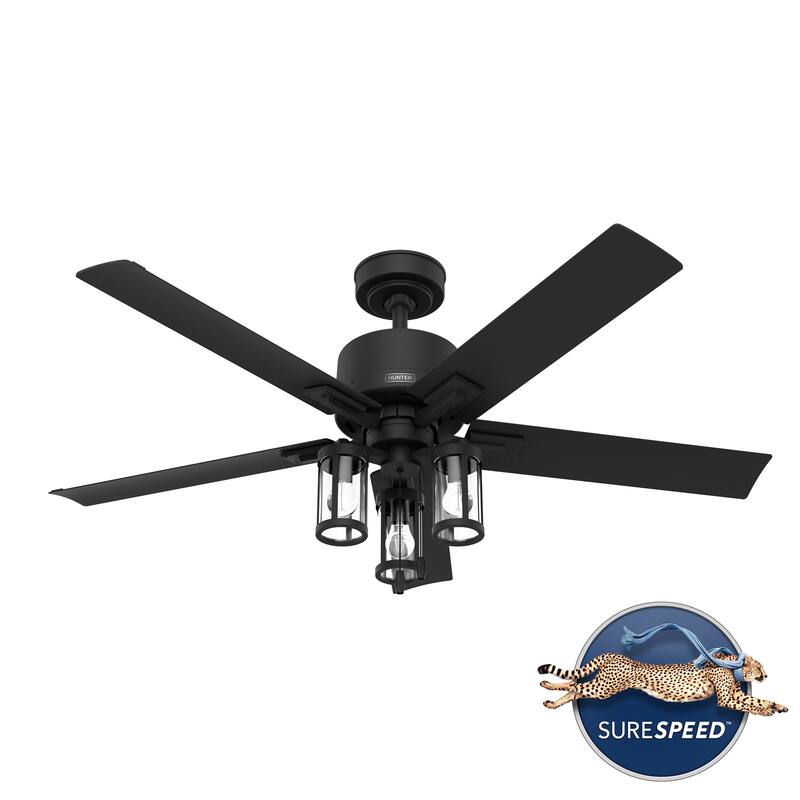 Hunter 52" Lawndale Ceiling Fan with LED Light Kit and Pull Chain, Damp-Rated - Indoor-Outdoor