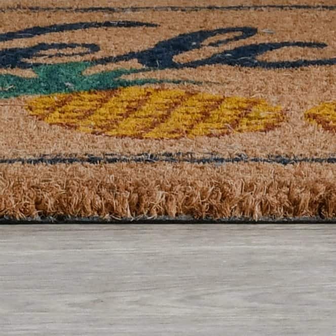 Pineapples 24x36 Coir Doormat by Kosas Home