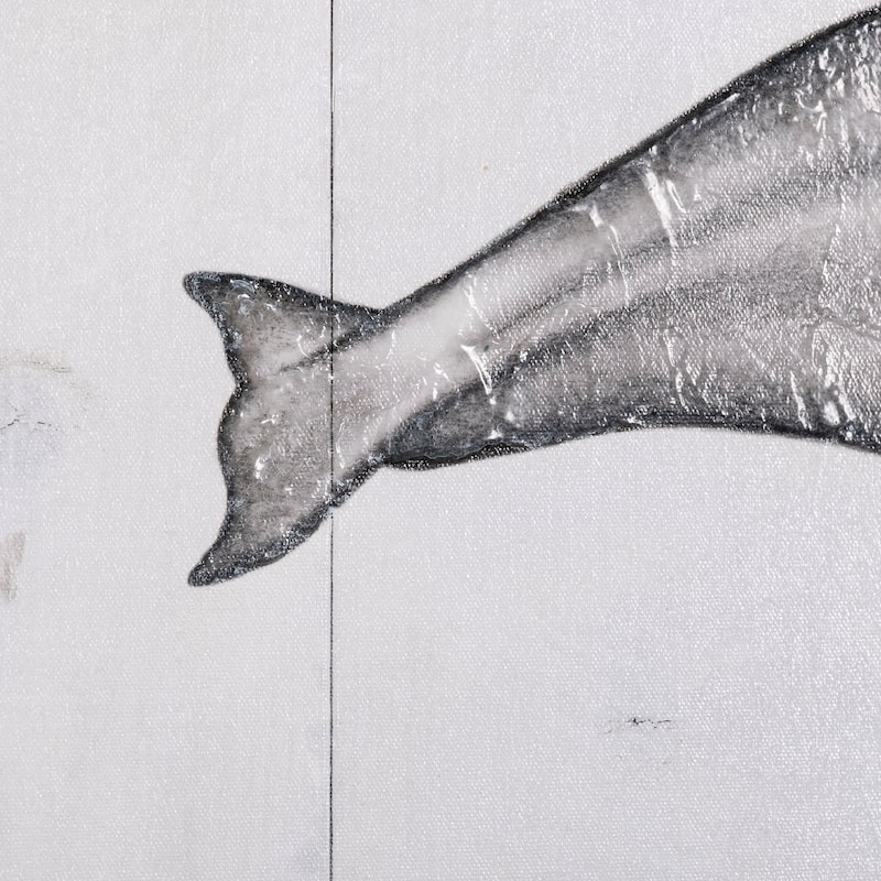 Bowhead Whale (30 x 20) Canvas Art Print