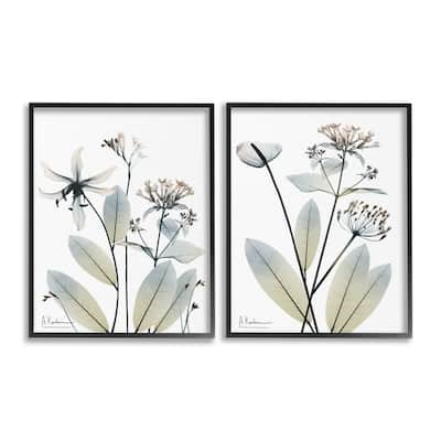 Stupell Modern Budding Blooms Framed Giclee Art Design By Albert Koetsier (Set of 2)