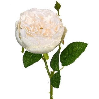 Englsih Roses Fake Cream English Garden Rose Artificial Flower - Bed Bath & Beyond - 40389906