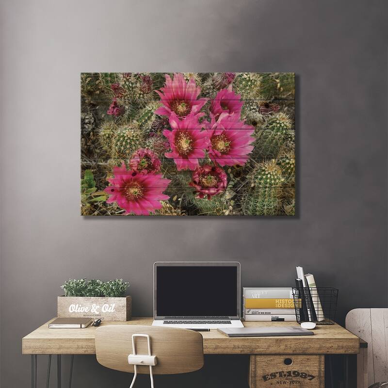 Hedgehog Cactus Flowering, Arizona Print On Wood by Tim Fitzharris - Multi-Color