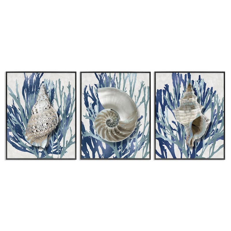 Stupell Trio of Shell Coral Blue Beach Design, 3pc Multi Piece Framed Wall Art Set - 24 x 30 - Black