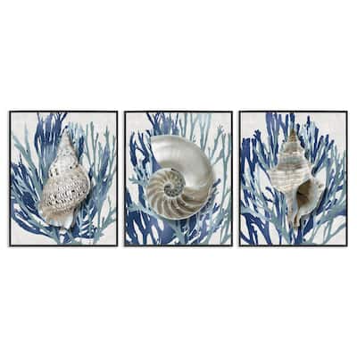Stupell Trio of Shell Coral Blue Beach Design, 3pc Multi Piece Framed Wall Art Set