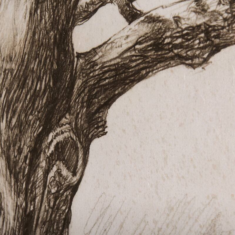 Secret Life Of Tree (40 x 30) Canvas Art Print