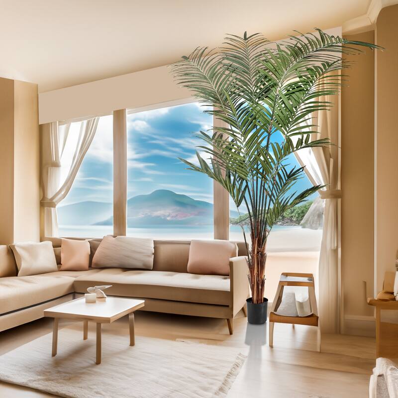 Potted Uv Treated Kentia Palm 10' - 10"