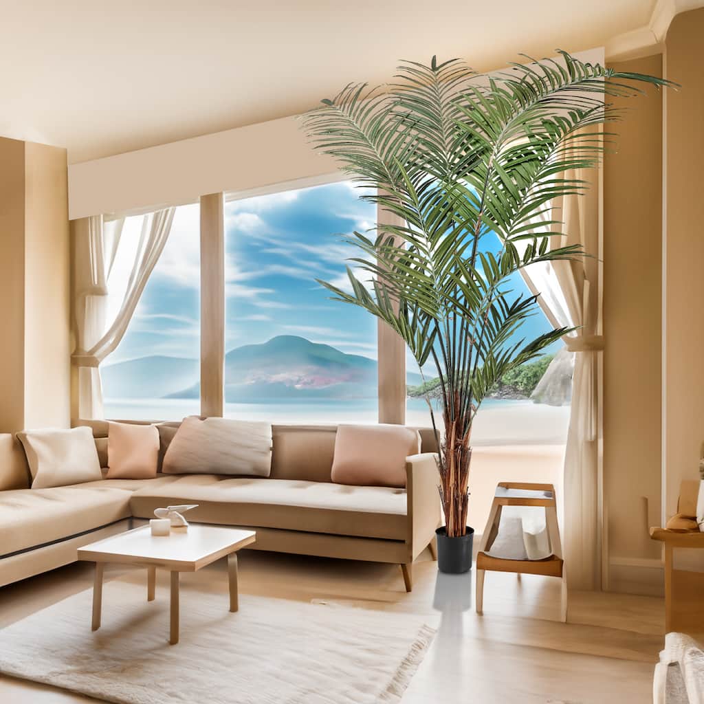 Potted Uv Treated Kentia Palm 10' - 10"