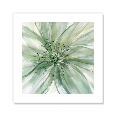 Macro Sage Flower II - Green