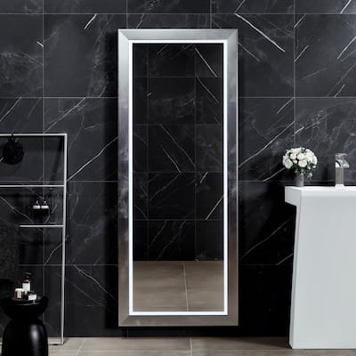 Eviva Sofy 24" x 67" Rectangular Aluminum Aluminum Framed Mirror - Silver - N/A