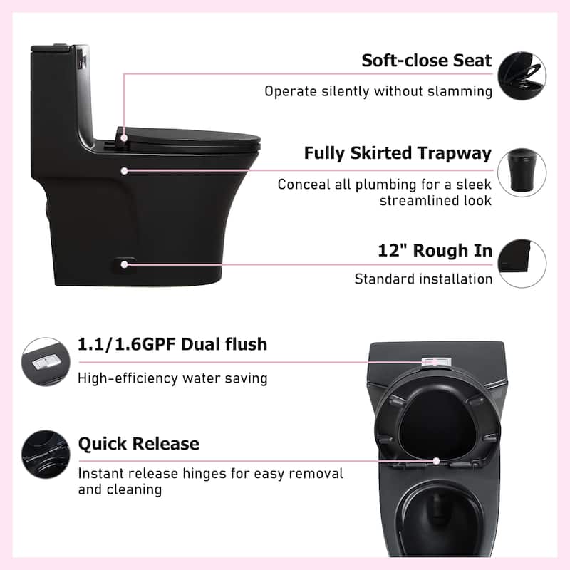Matte Black One-Piece Toilet