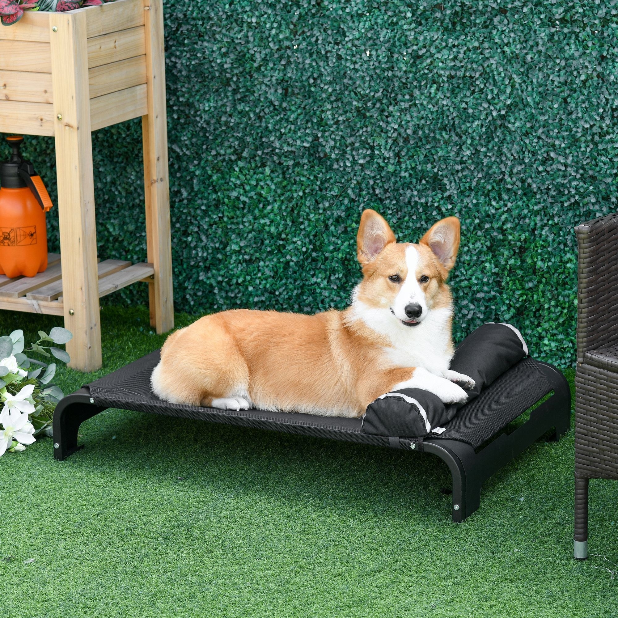 Pawhut elevated dog bed hotsell