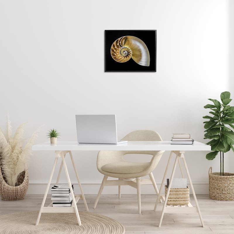 Stupell Tan Nautilus Shell on Black Framed Giclee Art Design By Mary Lou Johnson