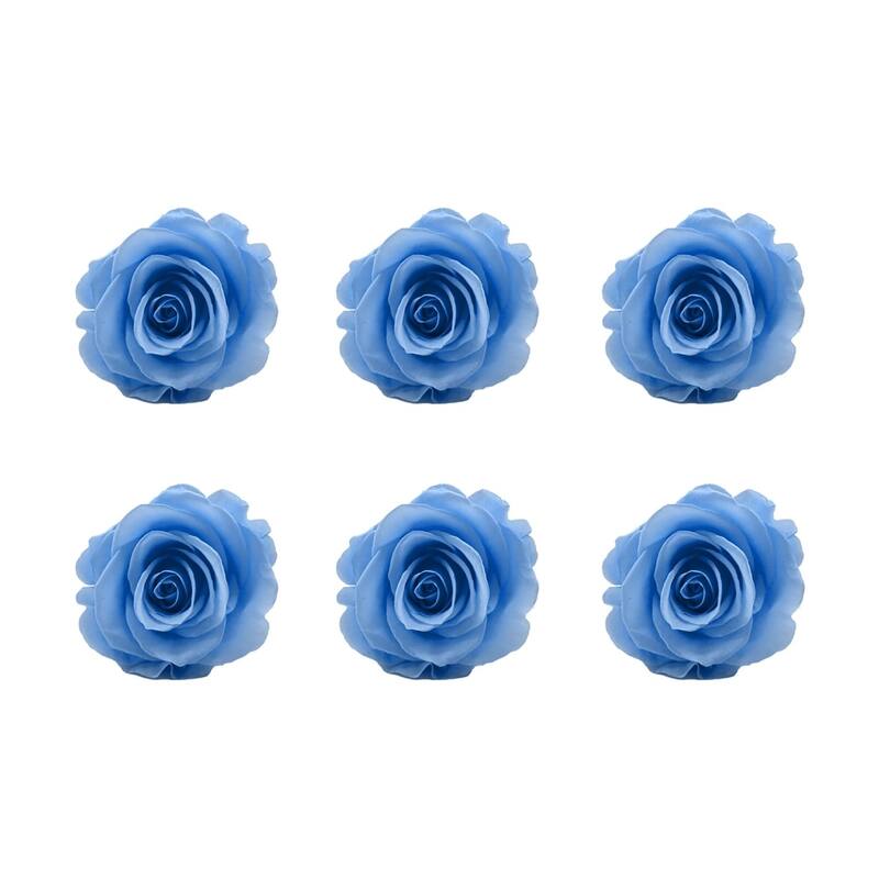 Large Colorful Preserved Roses - Set of 6