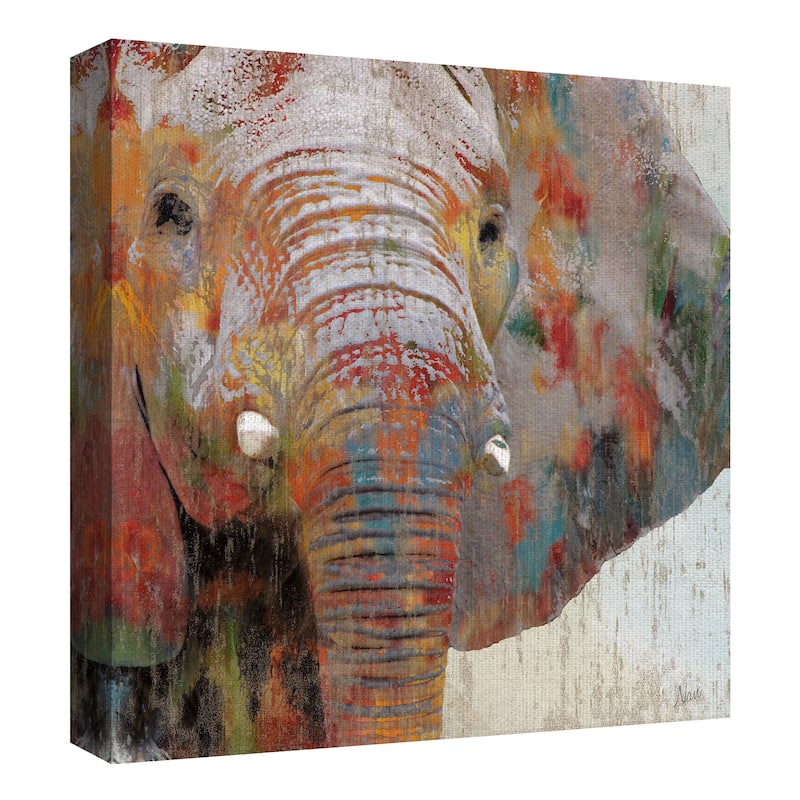 Paint Splash Elephant by Nan Canvas Art Print