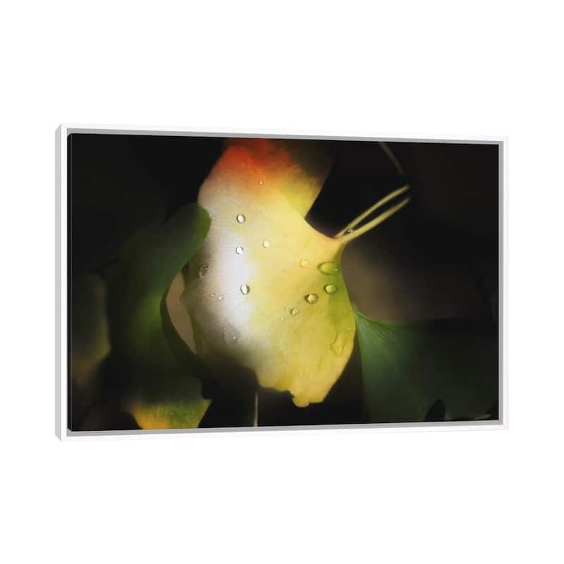 iCanvas "Apple Color" by Philippe Sainte-Laudy Framed - White - 18x26