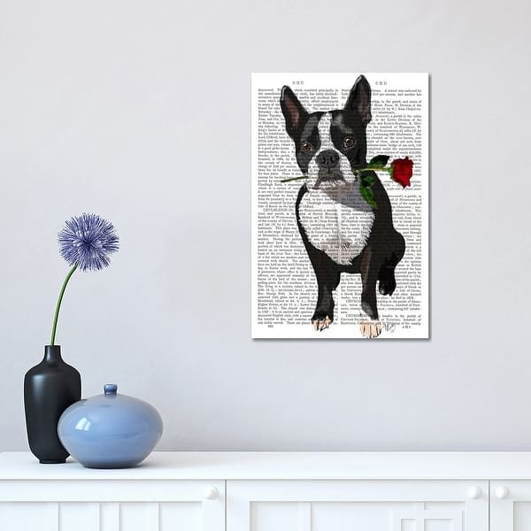 Icanvas Boston Terrier With Rose In Mouth By Fab Funky Canvas Print Overstock 21521613 The boston terrier is a small dog, compact constitution and square features. overstock com