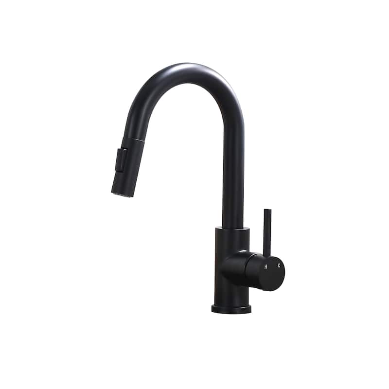 Topcraft Single Handle Stainless Steel Bar Faucet with Sprayer - Black