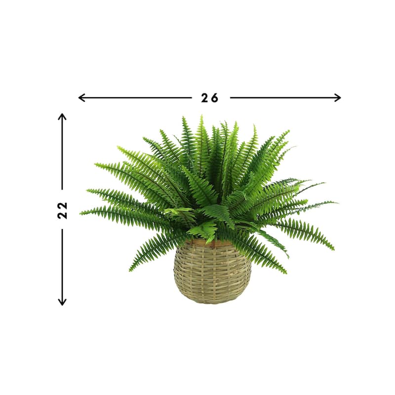 Fern in Wooden Basket - Green