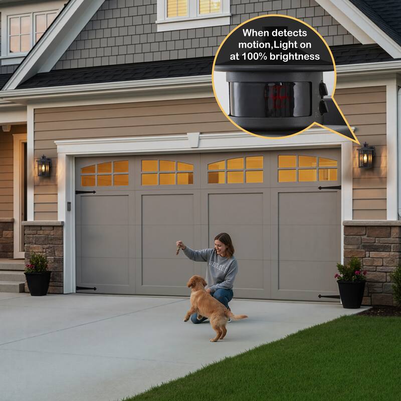 C Cattleya Matte Black Motion Sensor Dusk to Dawn Outdoor Wall Light with Water Glass and GFCI Outlet