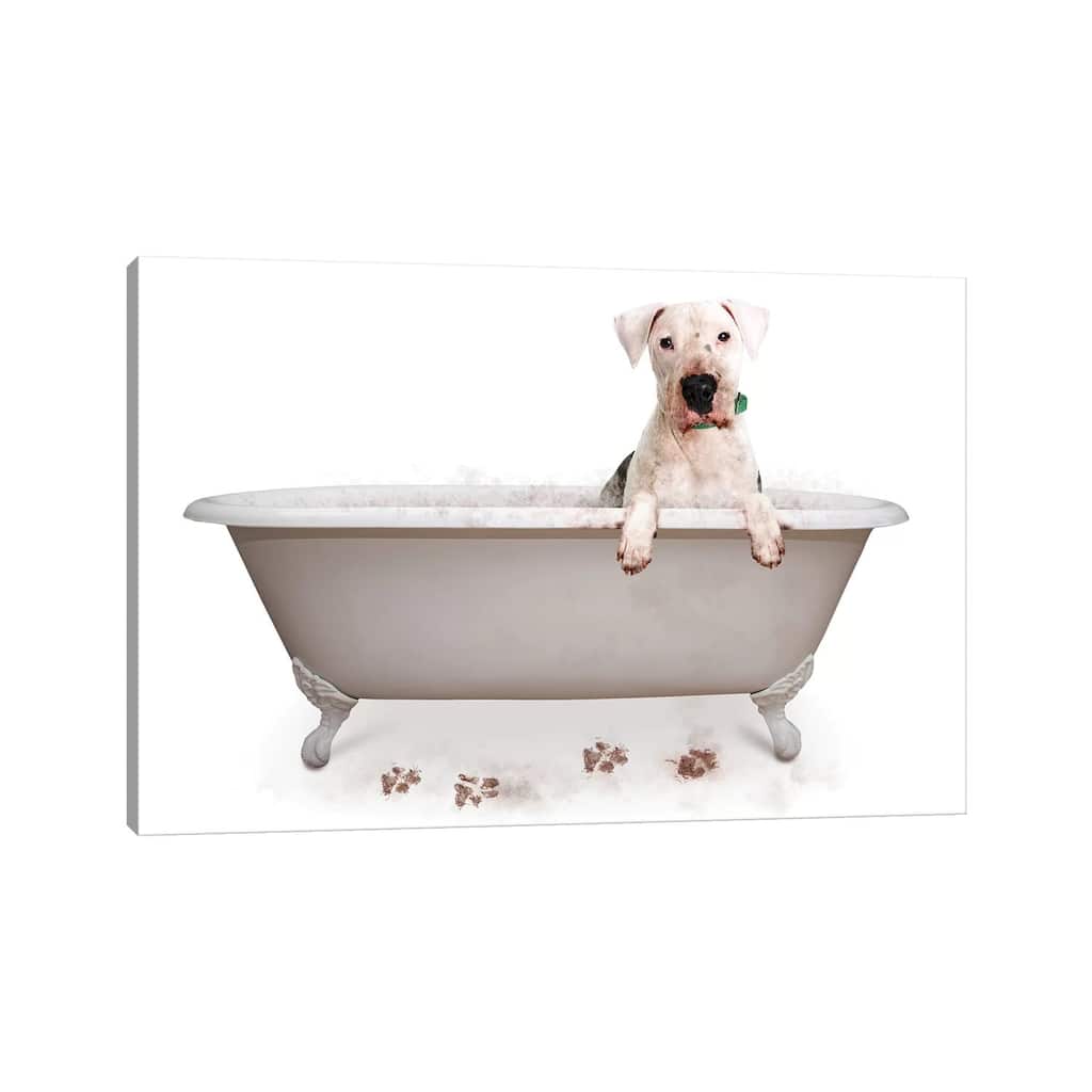 iCanvas "Muddy Dog In Bath Tub" by Susan Schmitz Canvas Print