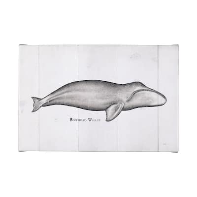 Bowhead Whale (50 x 30) Canvas Art Print