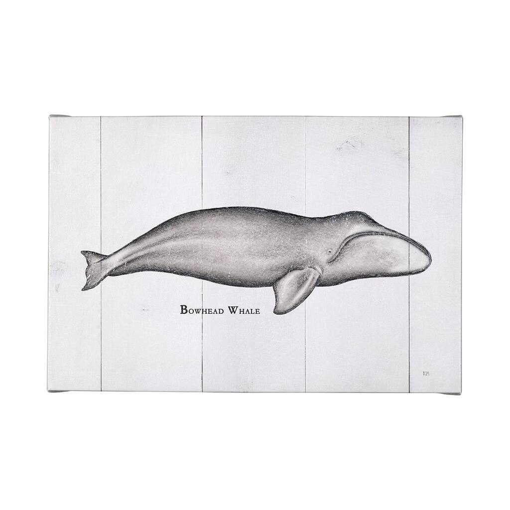 Bowhead Whale (50 x 30) Canvas Art Print