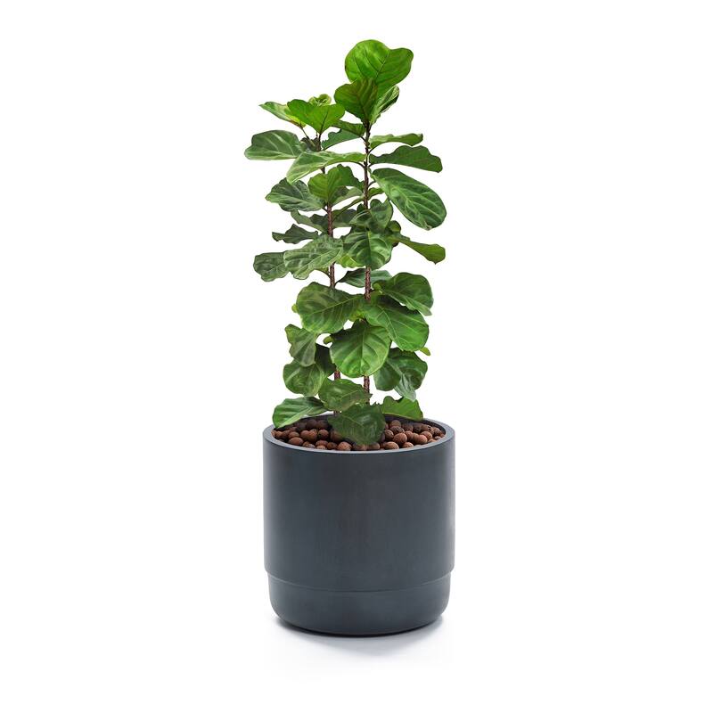 Modern Grey MgO 14.17" Round Planter