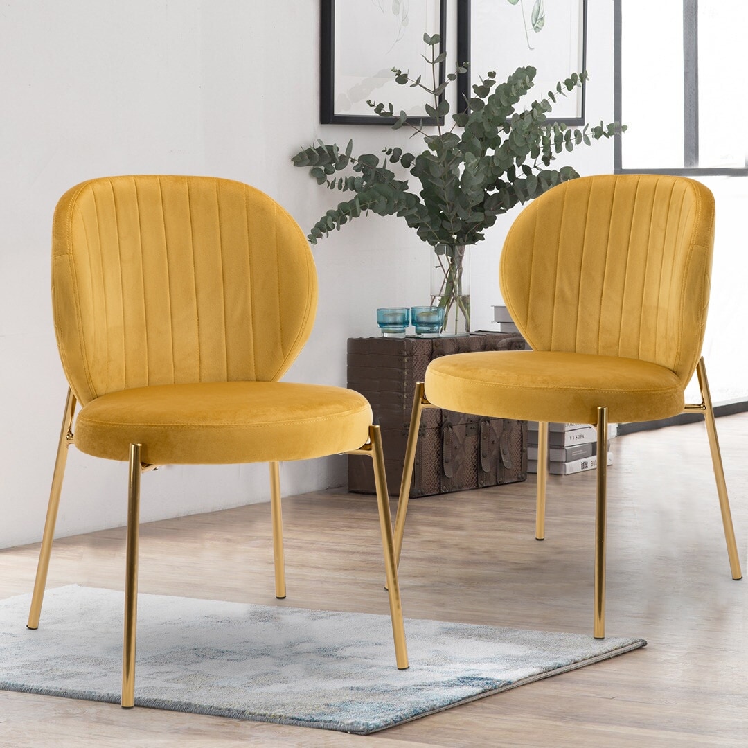 Velvet Dining Chairs Small Cute Accent Chairs with Golden Metal