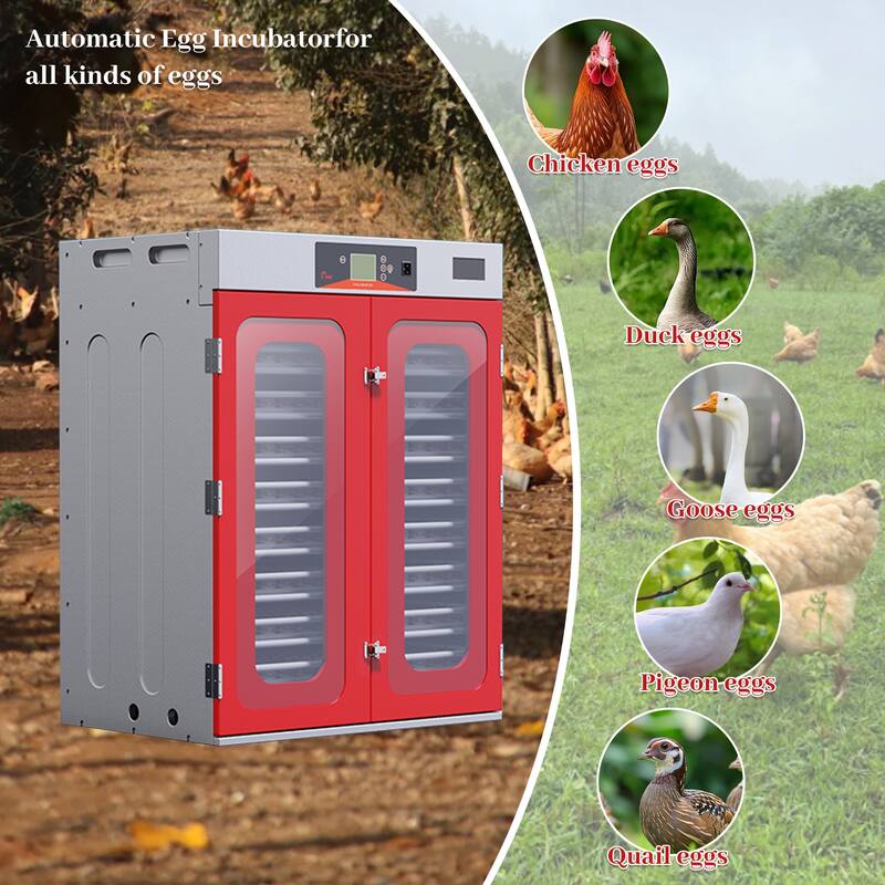 Roomfitters Egg Commercial Incubator, Automatic Digital Hatcher with Turner for Poultry Chicken Duck, Red