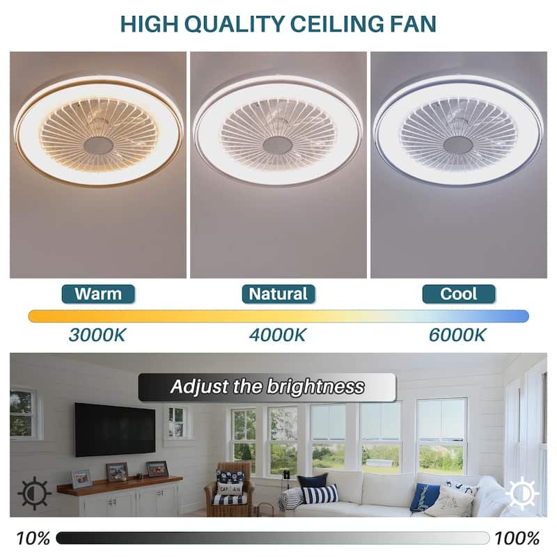 19" Modern Smart RGB Ceiling Fan Light with Dimmable Color Changing LED - 19 inches