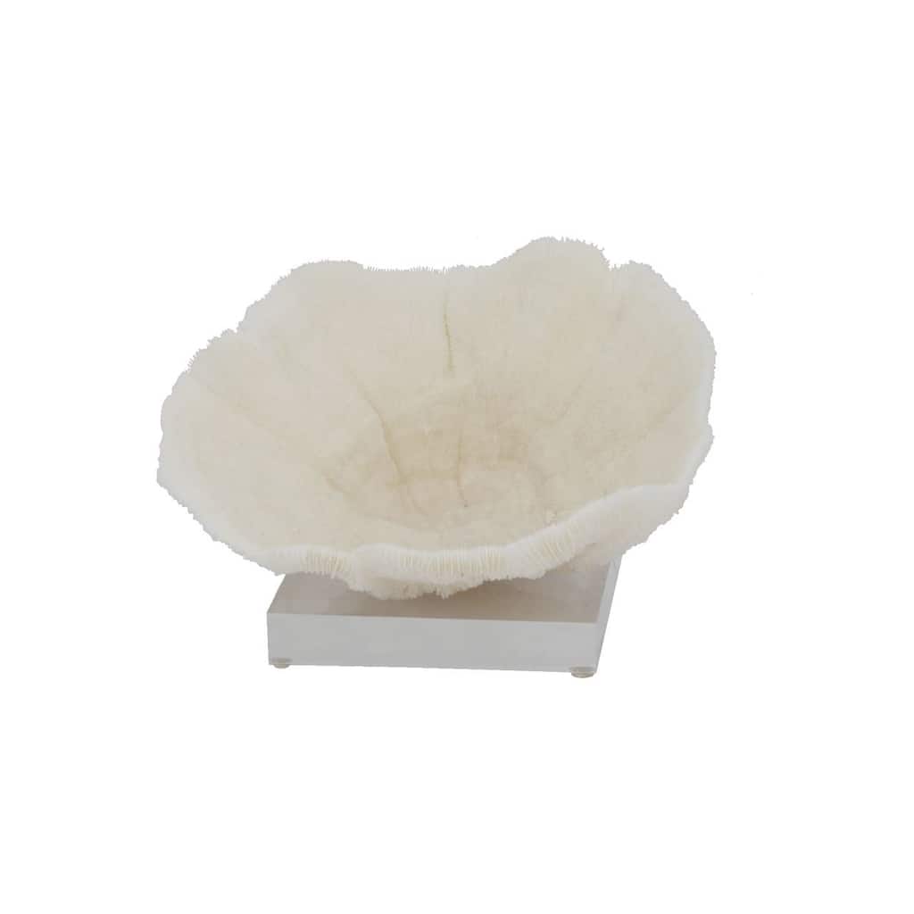 Bowl Coral 8-10 Inch On Acrylic Base