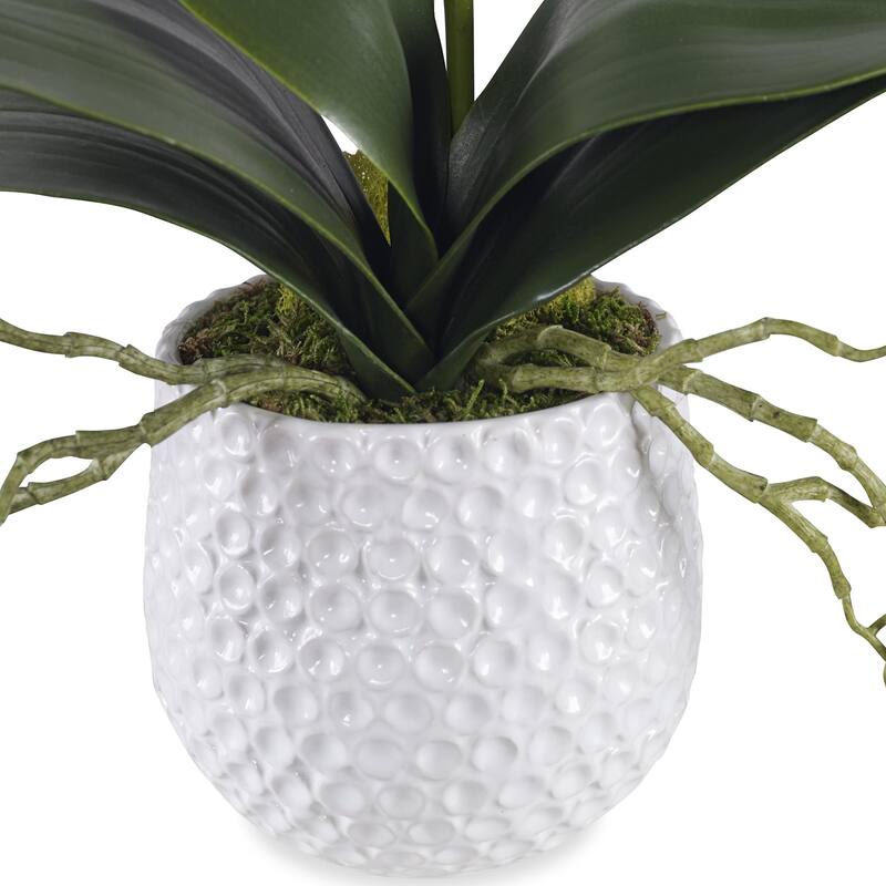 Uttermost 60178 Cami Orchid 24" Tall Ceramic Faux Flora Planter