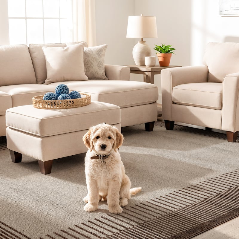 World Rug Gallery Modern Abstract Bordered Area Rug for Living Room, Bedroom, or Entryway - Low Pile Indoor Rug