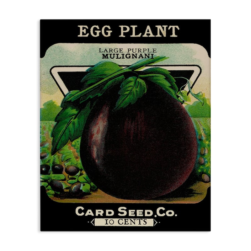 Stupell Vintage Garden Eggplant Canvas Wall Art Design By Lil' Rue - 30 x 40