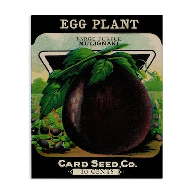 Stupell Vintage Garden Eggplant Canvas Wall Art Design By Lil' Rue
