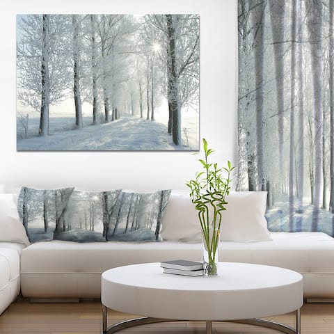 Designart "Winter Trees Backlit by Morning Sun" Large Forest Artwork Print on Canvas