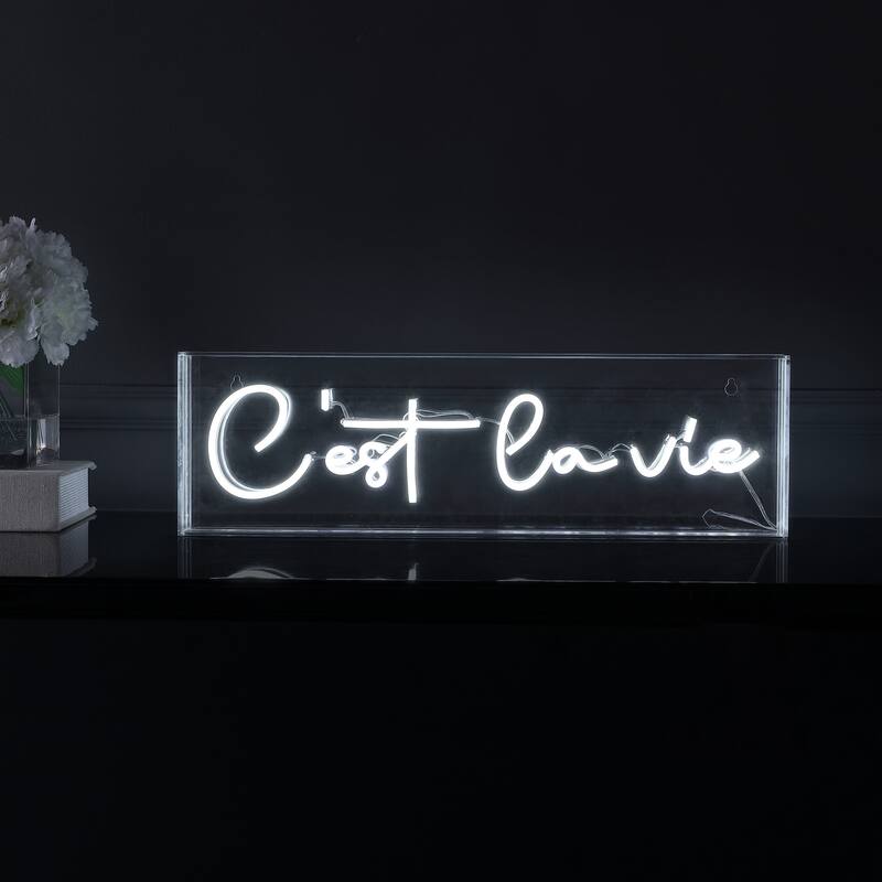C'est La Vie 20" X 6" Contemporary Glam Acrylic Box USB Operated LED Neon Light, White by JONATHAN Y - 20" X 6"