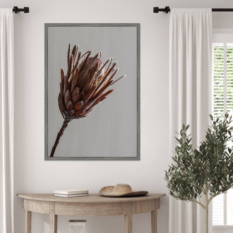 Momo by Shot by Clint Framed Canvas Wall Art Print