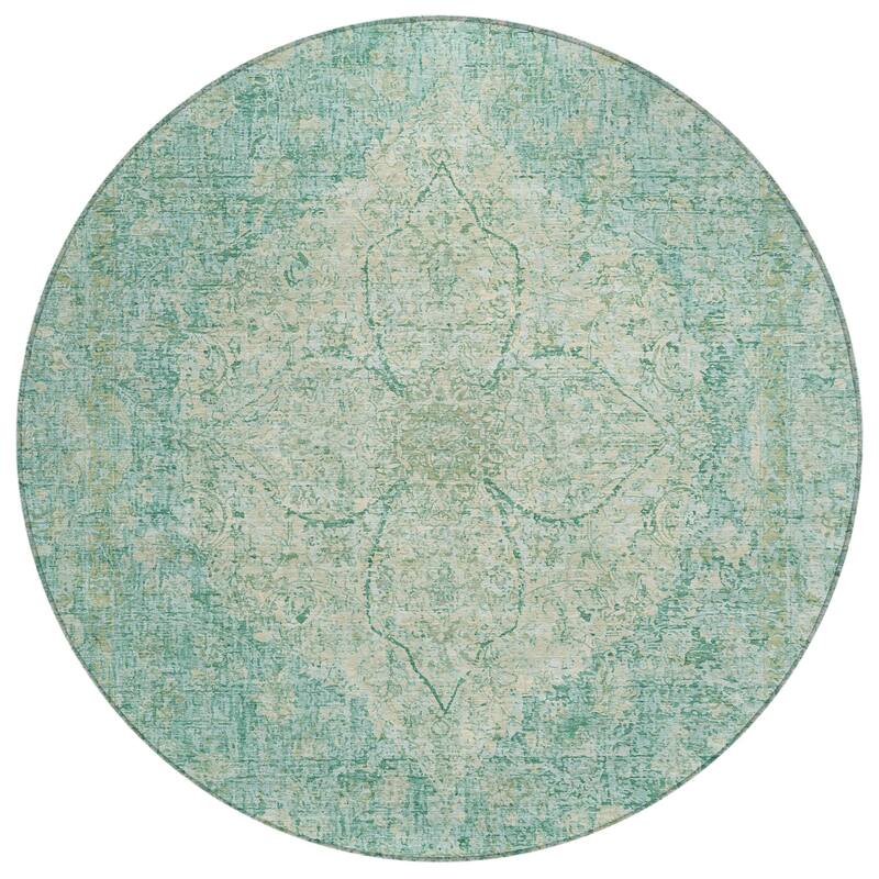 Machine Washable Indoor/Outdoor Traditional Global Chantille Rug