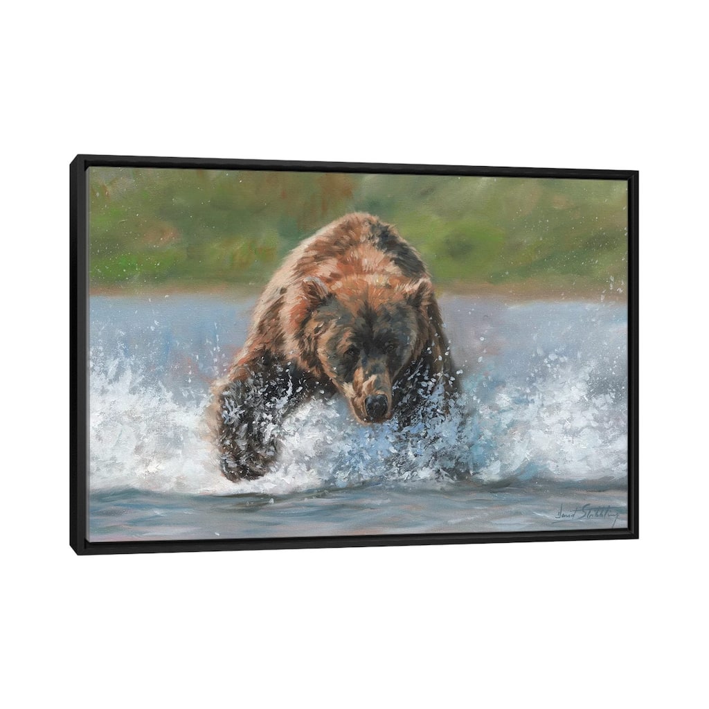 iCanvas "Brown Bear Grizzly Charge" by David Stribbling Framed