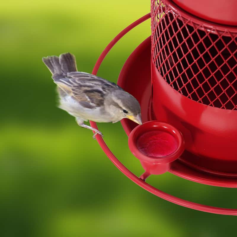 Javlergo Hanging Wild Bird Feeders for Outdoors, Squirrel Proof, Large Capacity Outside Bird Feeder