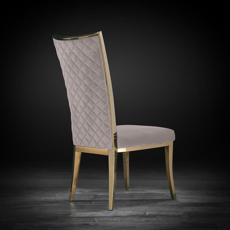 Massimo Titanium Gold Stainless Steel Dining Chair, Set of 2